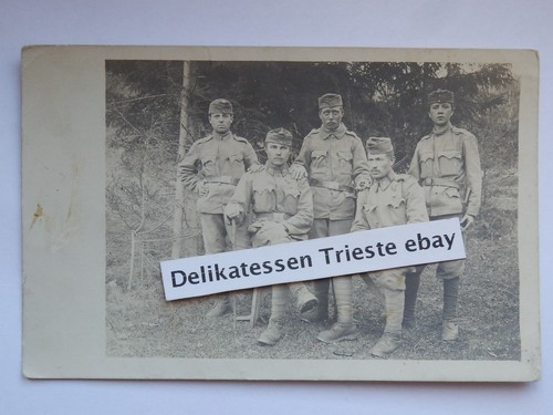 Reggimento 97 austria - ww,